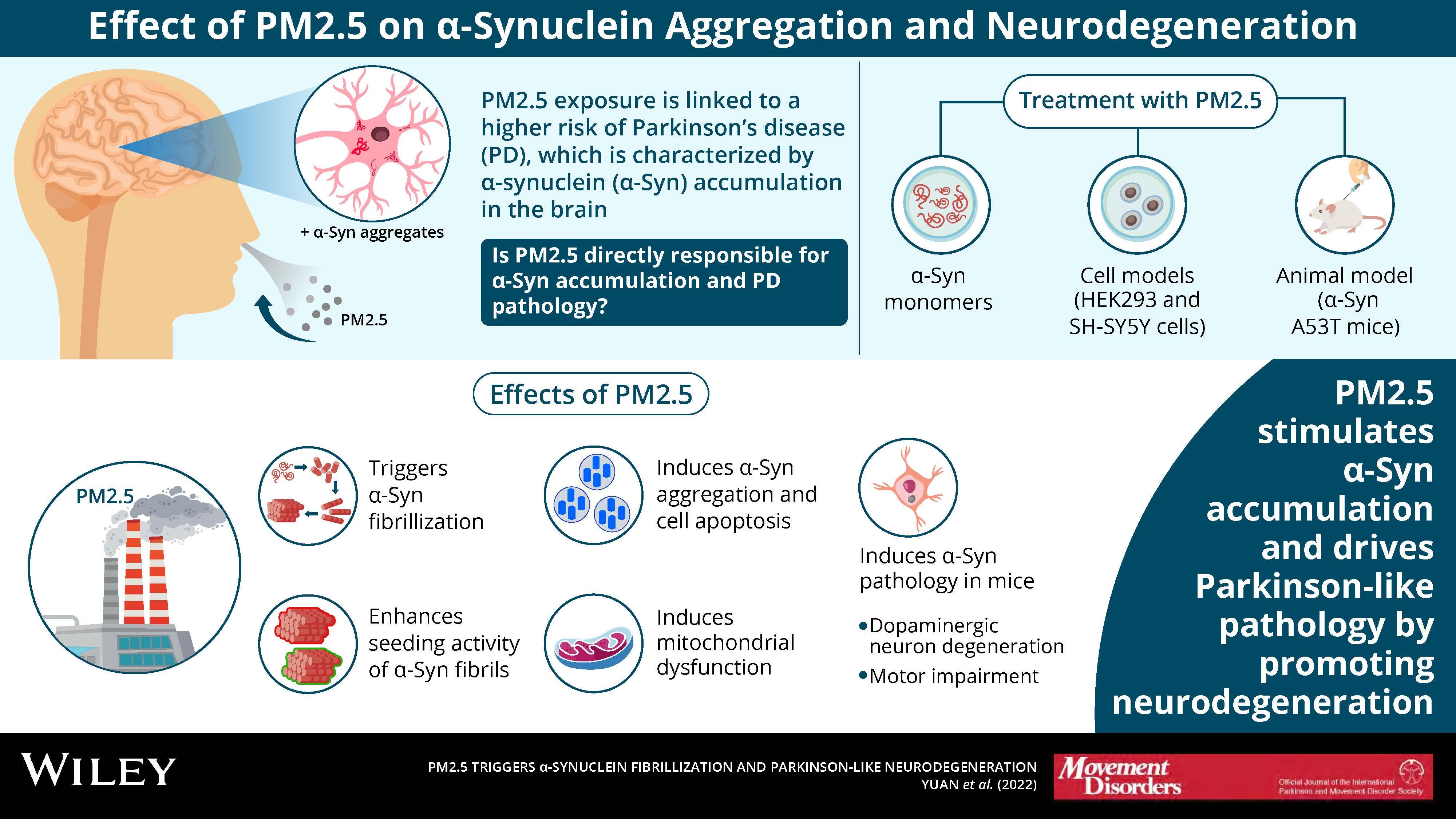 Dynamics of nigral iron accumulation in parkinson s disease from